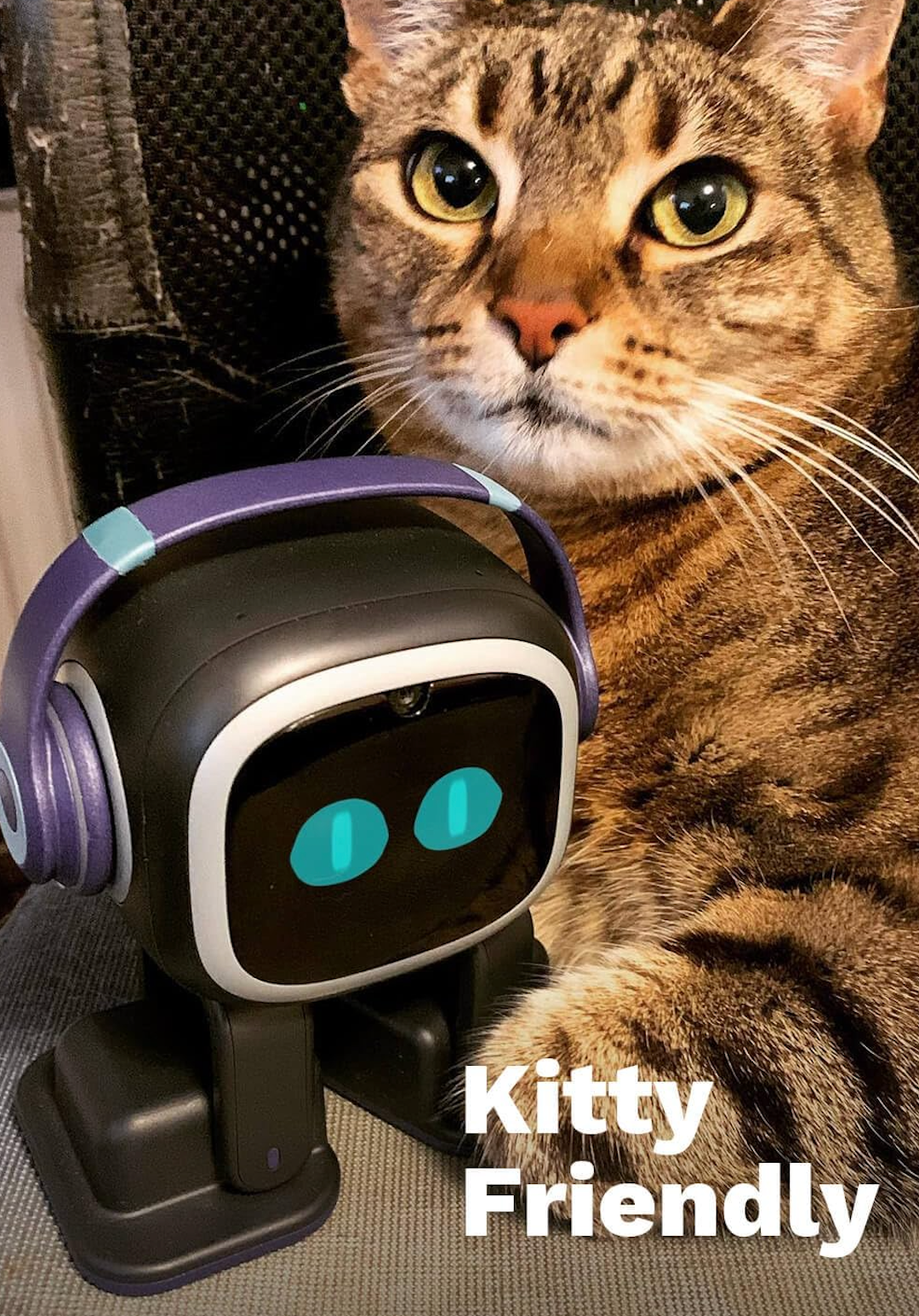 HOMIEBUDDY – Interactive Desktop Toy